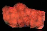Pink Manganoan Calcite Crystal Cluster - Highly Fluorescent! #350780-3